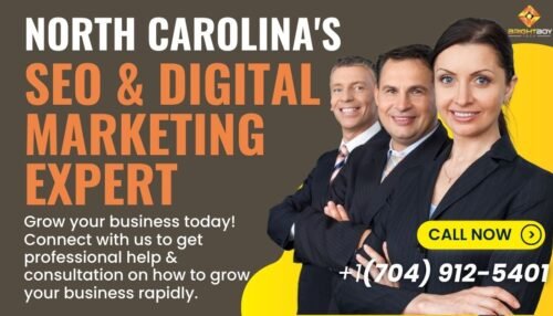 SEO and Digital Marketing Consultation